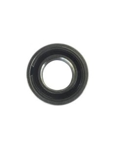 Cuscinetto Enduro 61901 SRS...