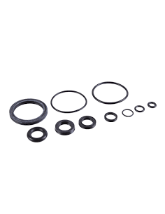 Seal Kit: 36 FLOAT NA2 Rebuild