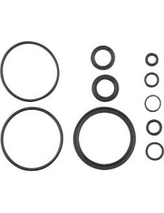 Seal Kit: 40 FLOAT NA2 Rebuild