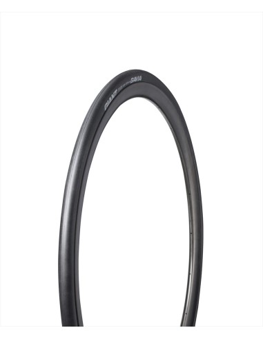 Copertone Giant Gavia Race  2 700X25 TUBELESS RIGIDO