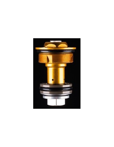 Formula mod cts kit soft (GOLD)