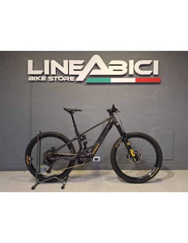 Orbea Wild Carbon Custom M