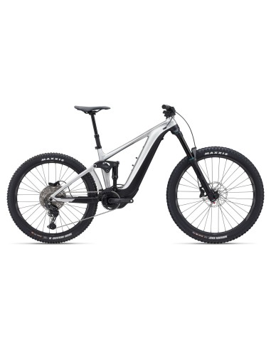 Giant Reign E+ 3 L Raw Aluminum 2024