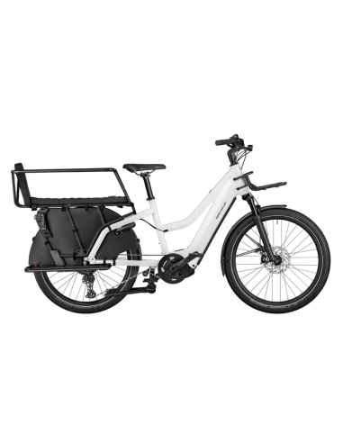 Multicharger2 Mixte GT Family 47 cm