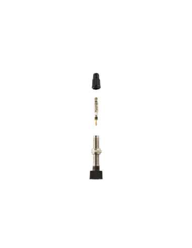Valvola Tubeless Base Quadrata - 40 Mm, Argento Wag Bag