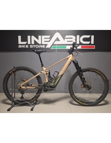 Orbea Wild H10