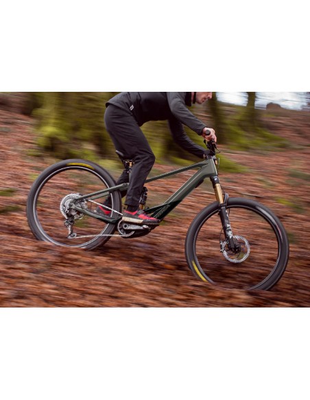 Orbea Wild M-Team M Custom 2024