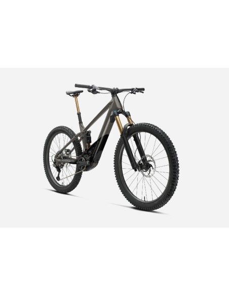 Orbea Wild M-Team M Custom 2024