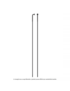 Raggio Strong Inox Testa...