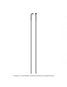 Raggio Strong Inox Testa...
