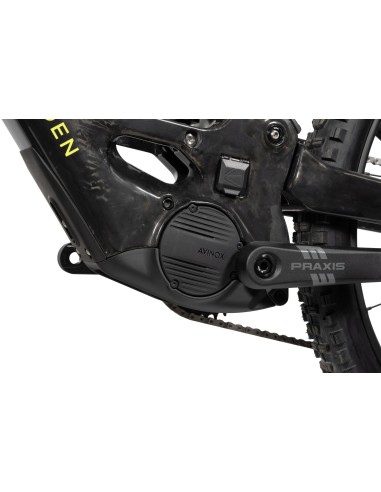 Forbidden Druid Core 3 Slated S4