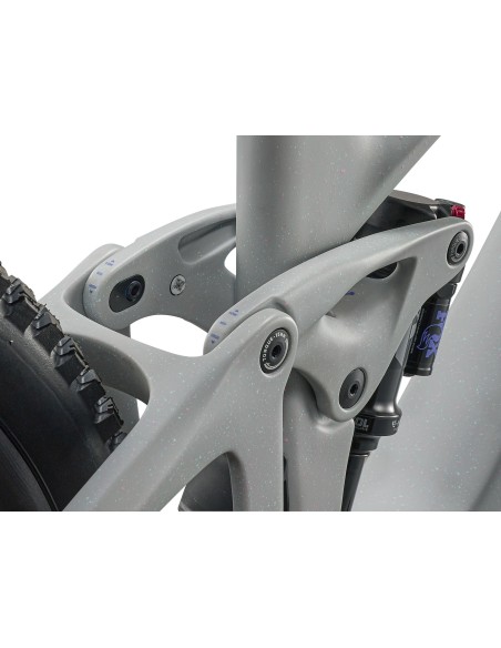 Giant Reign Advanced E+ 2 M Moon Dust