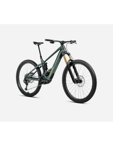 Orbea Wild M20 M