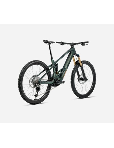 Orbea Wild M20 M