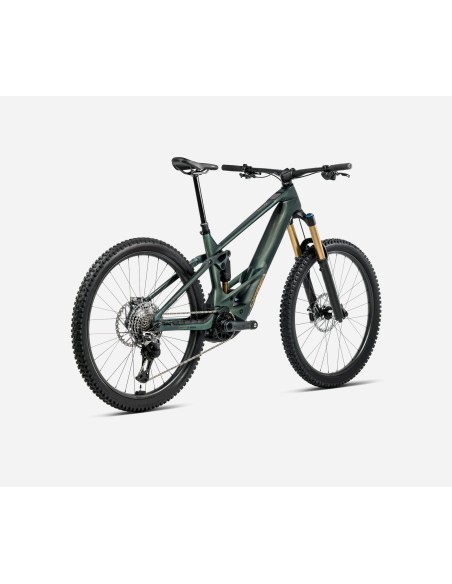 Orbea Wild M20 M