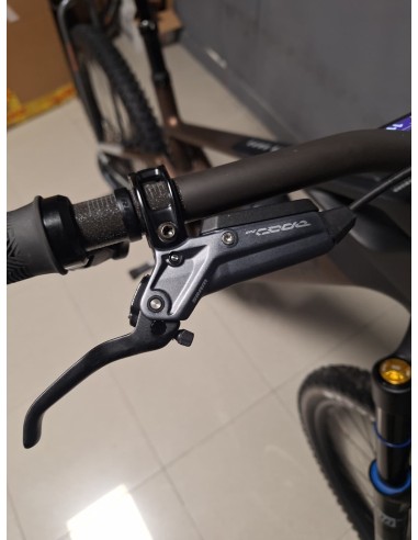 Mondraker Dune RR Demo