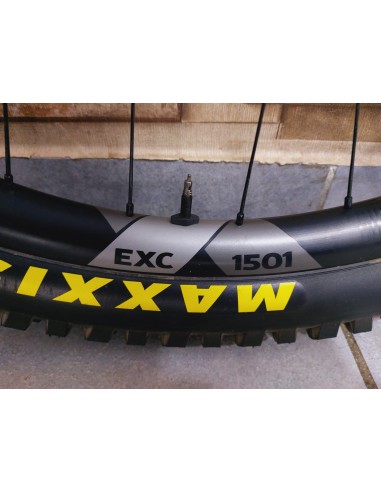 Coppia Ruote Dt Swiss EXC 1501 Spline...