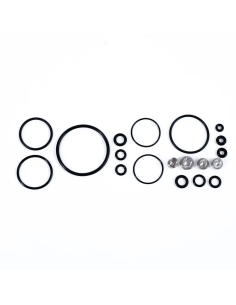 Revisione Ammortizzatore...