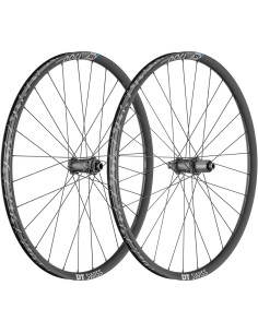 Coppia Ruote DT Swiss HX...