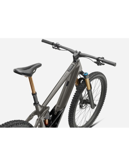 Orbea Wild M-Team M Custom 2024