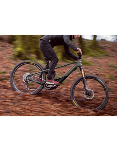 Orbea Wild M-Team M Custom 2024