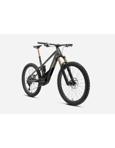 Orbea Wild M-Team M Custom 2024