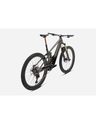 Orbea Wild M-Team M Custom 2024