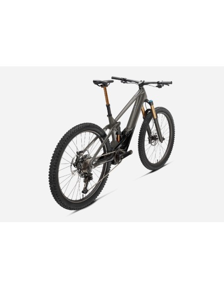 Orbea Wild M-Team M Custom 2024