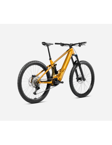Orbea Wild H20 M Bumblebee...