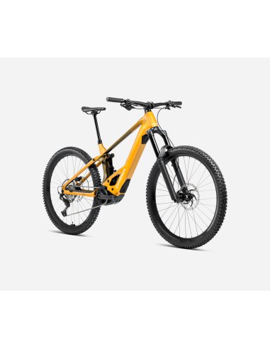 Orbea Wild H20 M Bumblebee...