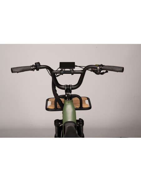 XP X-Load 2 20" Matt Green | E-Bike Mini Fat Potente e Robusta