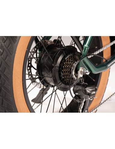 XP I-K.2+ 20" Green Light |...