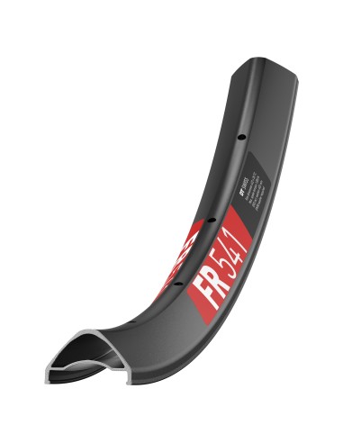 Cerchio Dt Swiss Alluminio FR 541 29...