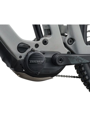 Giant Reign Advanced E+ 2 Moon Dust |...