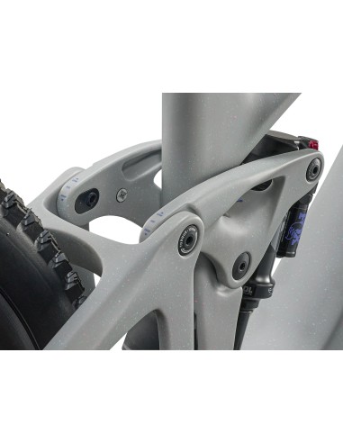 Giant Reign Advanced E+ 2 Moon Dust |...