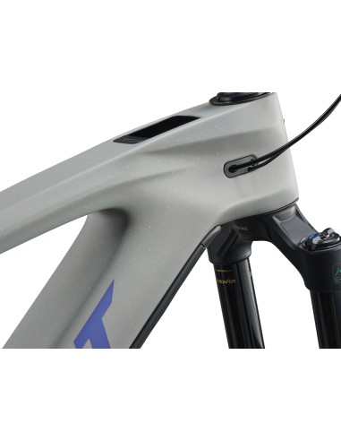 Giant Reign Advanced E+ 2 Moon Dust |...