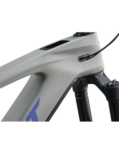 Giant Reign Advanced E+ 2 Moon Dust | Taglia M