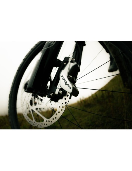 Giant Reign Advanced E+ 1 M Mercury/Carbon Smoke