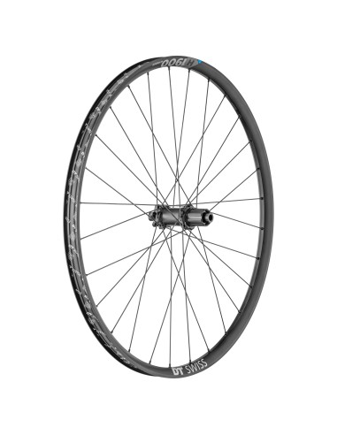 Ruota DT Swiss Posteriore H 1900 SP...