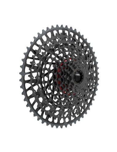 Casssetta Sram T-Type XS-1295...