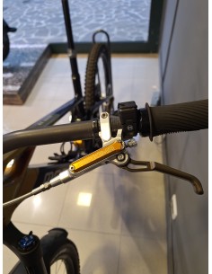 Mondraker Dune XR Demo 2