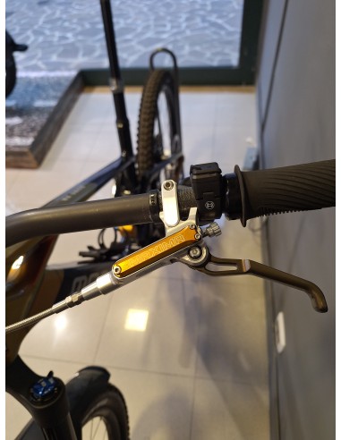 Mondraker Dune XR Demo