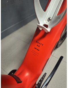 Mondraker Dusty RR 2