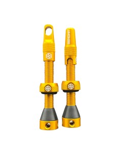 Coppia Valvole Sendhit...