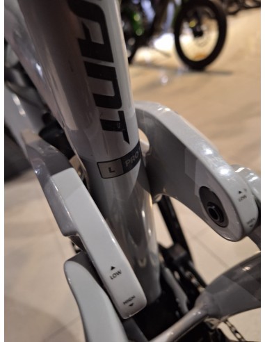 Giant Reign E + 1 MX Pro