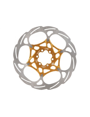 Disco Formula 203 6 fori Interno Oro...