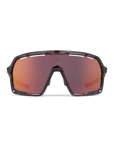 Occhiali Endura Pro SL Grigi