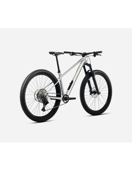 Orbea Laufey H30 M Smooth Silver - Titanium