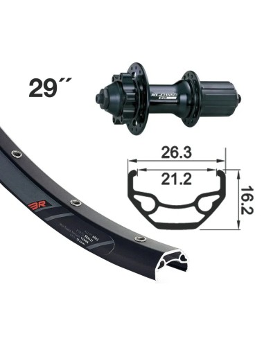 Ruota Posteriore 29" XfC EVO DC 22 fW...