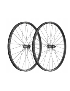 Coppia Ruote Dt Swiss H...